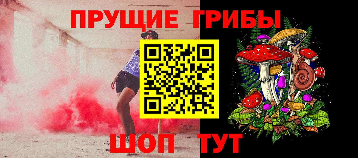 хочу   Псилоцибиновые грибы прущие грибы  Вход с VPN  Тосно 