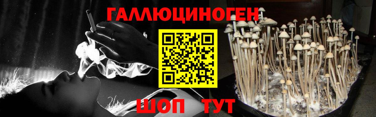 Псилоцибиновые грибы MAGIC MUSHROOMS  магазин продажи наркотиков  Тосно 
