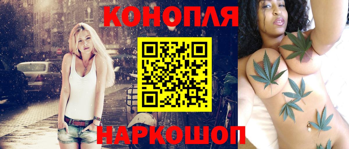 Каннабис MAZAR Тосно