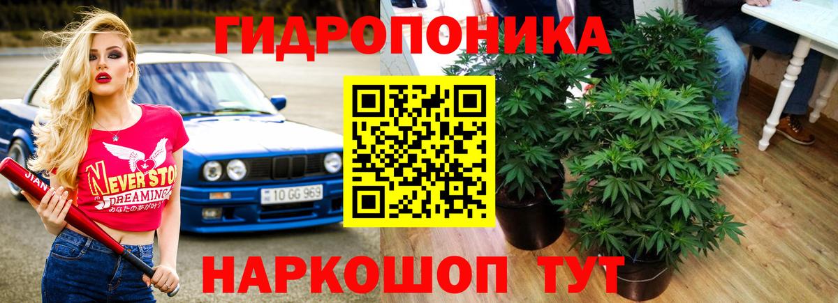 Марихуана гибрид Тосно