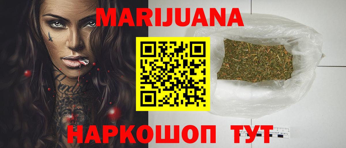 Канабис планчик  Тосно  Конопля OG Kush  Марихуана OG Kush  Бошки марихуана Ganja 